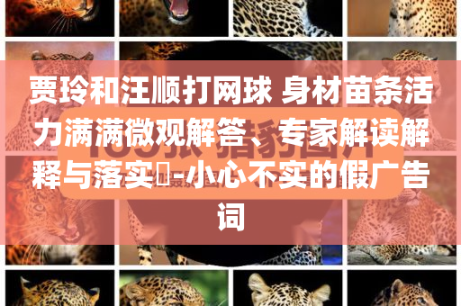 賈玲和汪順打網(wǎng)球 身材苗條活力滿滿微觀解答、專家解讀解釋與落實?-小心不實的假廣告詞