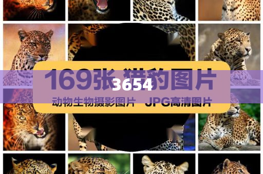 男孩被吸入橋洞 大哥死死抓住-渠道解答、專家解讀解釋與落實(shí),警惕夸張幌子