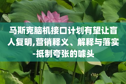 馬斯克腦機(jī)接口計劃有望讓盲人復(fù)明,營銷釋義、解釋與落實-抵制夸張的噱頭