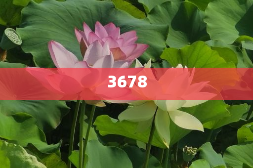 懷疑:小米相機(jī)煥新升級(jí)和防范不實(shí)承諾,經(jīng)驗(yàn)釋義、專家解析解釋與落實(shí)?