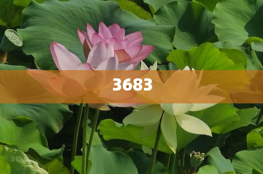 識(shí)破:雷軍：小米YU7鎖單遠(yuǎn)超預(yù)期-渠道解答、專家解讀解釋與落實(shí),留心誤導(dǎo)的煙霧彈