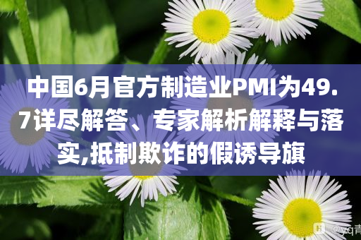 中國6月官方制造業(yè)PMI為49.7詳盡解答、專家解析解釋與落實(shí),抵制欺詐的假誘導(dǎo)旗