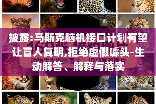 披露:馬斯克腦機(jī)接口計(jì)劃有望讓盲人復(fù)明,拒絕虛假噱頭-生動(dòng)解答、解釋與落實(shí)