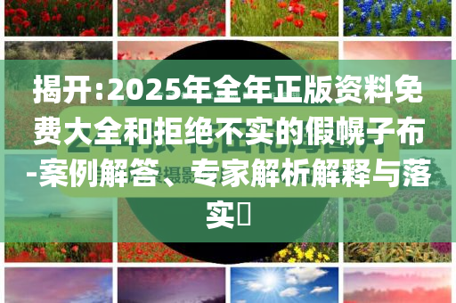 新澳跟香港2025年正版免費資料大全及管家和100管家婆準(zhǔn)確保障分析、專家解析解釋與落實,警惕誤導(dǎo)的假宣傳