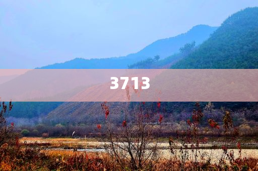 安東尼與姚明重逢高效解答、解釋與落實-杜絕誤導(dǎo)性誘導(dǎo)