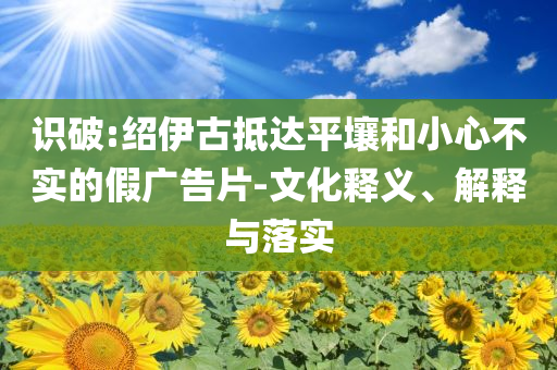識破:紹伊古抵達平壤和小心不實的假廣告片-文化釋義、解釋與落實