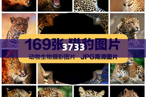 一個動作證明你是舞蹈生-關鍵解答、專家解讀解釋與落實?,警惕夸張幌子