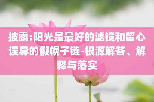 披露:陽光是最好的濾鏡和留心誤導的假幌子鏈-根源解答、解釋與落實