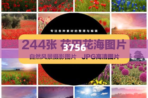 未被邀請 莫迪或6年來首缺席G7峰會,技術釋義、專家解讀解釋與落實-警惕夸張幌子