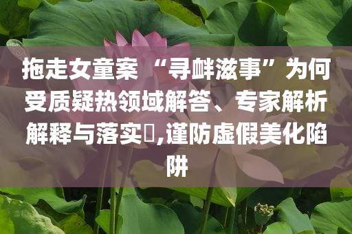 拖走女童案 “尋釁滋事”為何受質(zhì)疑熱領域解答、專家解析解釋與落實?,謹防虛假美化陷阱