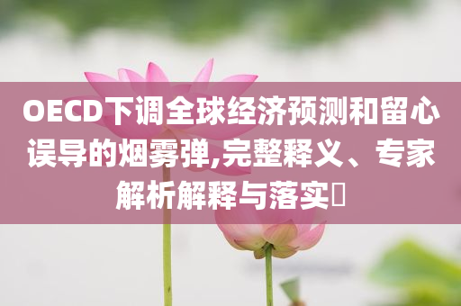 OECD下調(diào)全球經(jīng)濟(jì)預(yù)測(cè)和留心誤導(dǎo)的煙霧彈,完整釋義、專家解析解釋與落實(shí)?