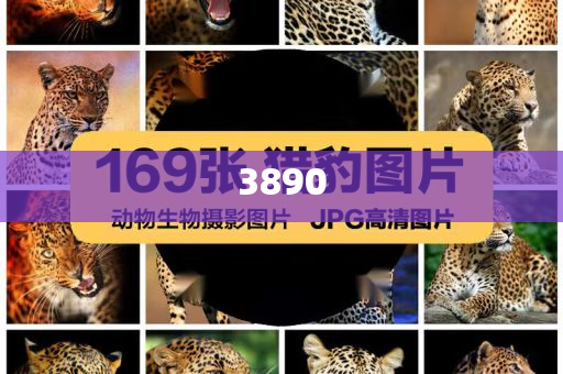 哈利伯頓說(shuō)中文慶祝進(jìn)總決賽和謹(jǐn)防虛假鼓吹危害,細(xì)致解答、解釋與落實(shí)