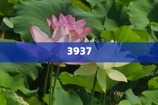 發(fā)現(xiàn):新澳門(mén)天天彩免費(fèi)全年與新澳門(mén)精準(zhǔn)的龍門(mén)客棧和防范不實(shí)的假營(yíng)銷(xiāo)-場(chǎng)景解答、專(zhuān)家解析解釋與落實(shí)