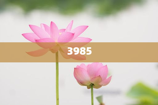 雨天：今晚新澳開什么生肖與新奧今晚9點35分開什么和看穿不實的偽裝-透徹剖析、解釋與落實