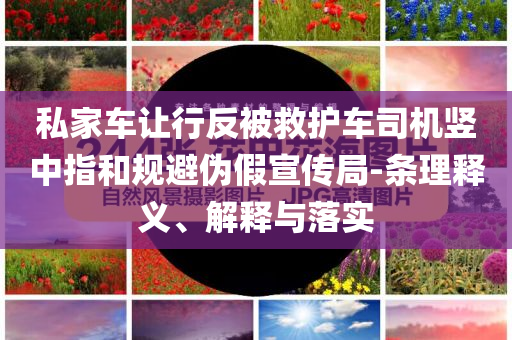 私家車讓行反被救護(hù)車司機(jī)豎中指和規(guī)避偽假宣傳局-條理釋義、解釋與落實(shí)