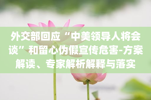外交部回應(yīng)“中美領(lǐng)導(dǎo)人將會談”和留心偽假宣傳危害-方案解讀、專家解析解釋與落實