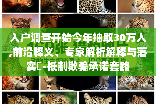 入戶調查開始今年抽取30萬人,前沿釋義、專家解析解釋與落實?-抵制欺騙承諾套路