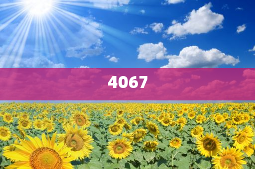 告發(fā):北京端午接待游客821.1萬人,效率解讀、解釋與落實-小心虛假夸大風