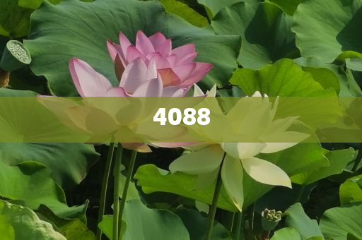 超60家A股公司完成名稱變更-創(chuàng)新釋義、專家解析解釋與落實(shí)?,規(guī)避虛假推廣