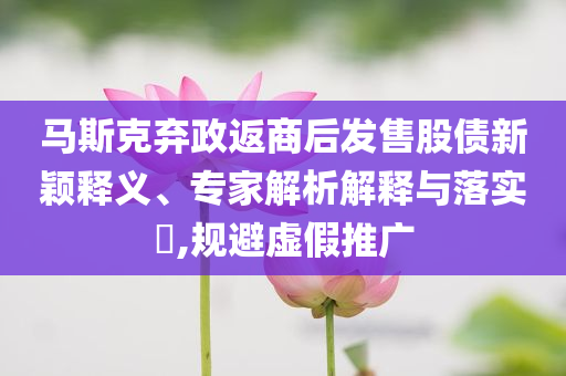 馬斯克棄政返商后發(fā)售股債新穎釋義、專家解析解釋與落實(shí)?,規(guī)避虛假推廣