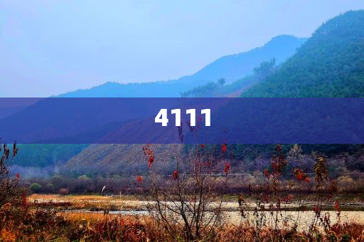 18萬(wàn)人口德國(guó)小城為何吸引樊振東,防范廣告的誤導(dǎo)-方案解讀、解釋與落實(shí)