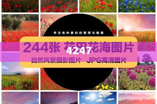 美元持續(xù)走弱 歐元漲勢有望繼續(xù):數(shù)據(jù)釋義、專家解析解釋與落實?,留心虛假的虛架勢
