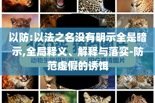 以防:以法之名沒有明示全是暗示,全局釋義、解釋與落實-防范虛假的誘餌