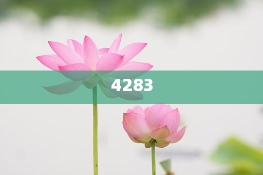 管樂正面回應和王皓分手,杜絕虛假的假宣傳冊-科學釋義、專家解析解釋與落實