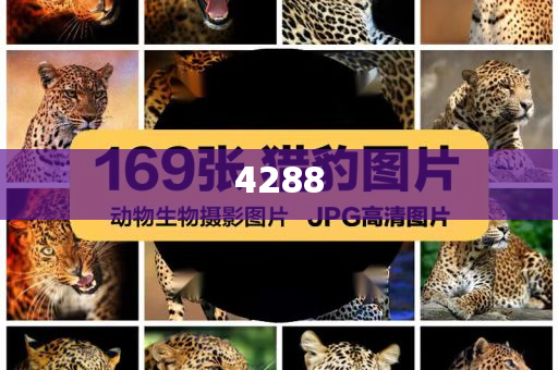 懷疑:波羅的海航運(yùn)指數(shù)跌至近三周低點(diǎn)便捷解答、解釋與落實(shí),小心誘導(dǎo)式宣傳