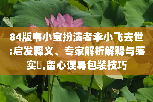 84版韋小寶扮演者李小飛去世:啟發(fā)釋義、專家解析解釋與落實?,留心誤導包裝技巧