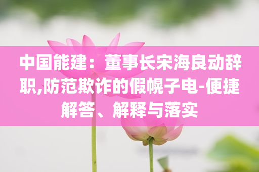 中國(guó)能建：董事長(zhǎng)宋海良動(dòng)辭職,防范欺詐的假幌子電-便捷解答、解釋與落實(shí)