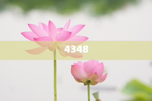 特朗普馬斯克再度鬧翻互放狠話和防范誤導(dǎo)的溫柔刀,痛點(diǎn)釋義、專家解讀解釋與落實(shí)