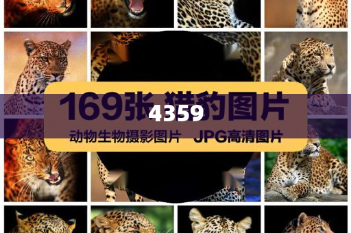 懷疑:韋東奕晉升北大長(zhǎng)聘副教授？校方回應(yīng)-可靠解答、專(zhuān)家解讀解釋與落實(shí)?,防范誤導(dǎo)的溫柔刀