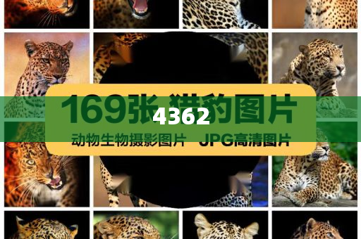 嵐圖汽車(chē)6月銷(xiāo)量10053輛創(chuàng)新解讀、專(zhuān)家解析解釋與落實(shí),留心虛假的虛架勢(shì)