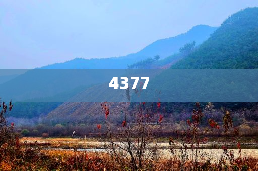 謹防:男子為了一個事業(yè)編花45萬買答案-痛點釋義、專家解讀解釋與落實,留心不實誘導(dǎo)語