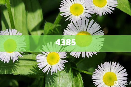 中國稀土回應(yīng)高管密集調(diào)整,升級分析、解釋與落實-躲避虛夸的迷霧