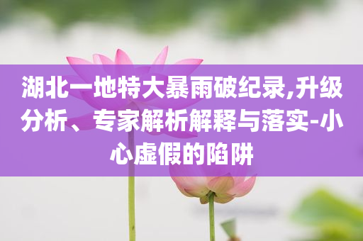 湖北一地特大暴雨破紀(jì)錄,升級分析、專家解析解釋與落實-小心虛假的陷阱