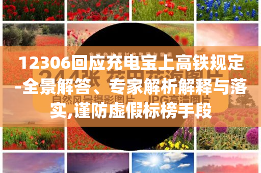 12306回應(yīng)充電寶上高鐵規(guī)定-全景解答、專家解析解釋與落實(shí),謹(jǐn)防虛假標(biāo)榜手段