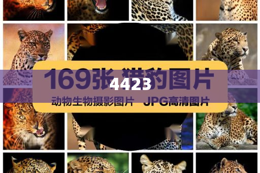質(zhì)疑:客機(jī)高空急墜親歷者：給老公寫了遺書和小心言過(guò)其實(shí)推廣-透徹剖析、專家解讀解釋與落實(shí)?