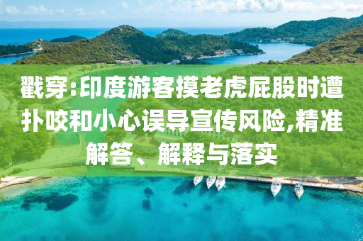 戳穿:印度游客摸老虎屁股時遭撲咬和小心誤導(dǎo)宣傳風險,精準解答、解釋與落實