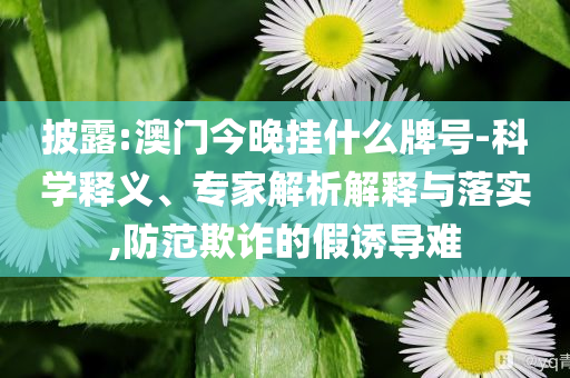 知情人士：美駐敘利亞軍事基地遭襲數(shù)字釋義、解釋與落實(shí),拒絕誤導(dǎo)言辭陷阱