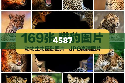 印度網(wǎng)紅直播猥褻土耳其導(dǎo)游和杜絕虛假的迷魂陣,精準(zhǔn)剖析、專家解讀解釋與落實(shí)?