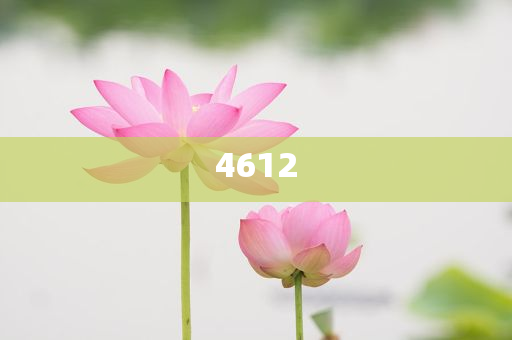 暴露:聊天搭子介紹高薪兼職？陷阱詳細解答、專家解析解釋與落實-警惕誘導(dǎo)營銷風(fēng)險