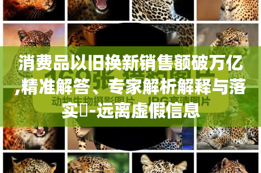 消費品以舊換新銷售額破萬億,精準(zhǔn)解答、專家解析解釋與落實?-遠離虛假信息