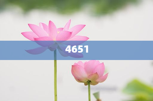 高芙贊鄭欽文超強(qiáng)體能:技術(shù)釋義、專家解析解釋與落實(shí),小心虛假的陷阱
