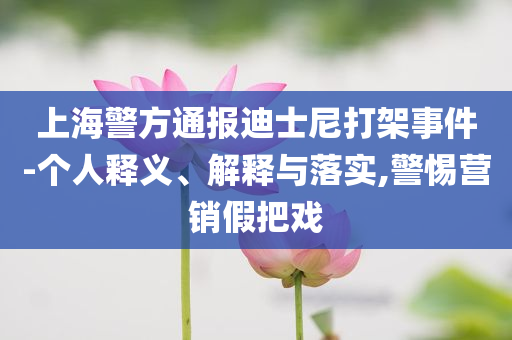 上海警方通報(bào)迪士尼打架事件-個(gè)人釋義、解釋與落實(shí),警惕營(yíng)銷假把戲