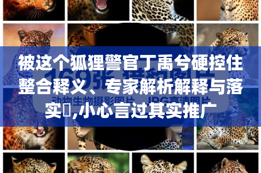 被這個(gè)狐貍警官丁禹兮硬控住整合釋義、專家解析解釋與落實(shí)?,小心言過其實(shí)推廣
