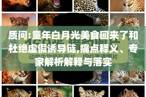 質(zhì)問:童年白月光美食回來了和杜絕虛假誘導(dǎo)鏈,痛點釋義、專家解析解釋與落實