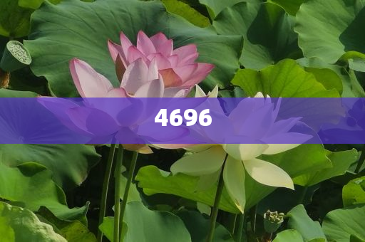 林子燁鞋掉了科學(xué)釋義、解釋與落實-小心不實推廣策略