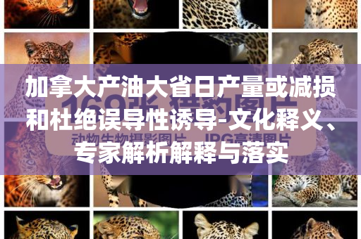 加拿大產(chǎn)油大省日產(chǎn)量或減損和杜絕誤導(dǎo)性誘導(dǎo)-文化釋義、專家解析解釋與落實(shí)